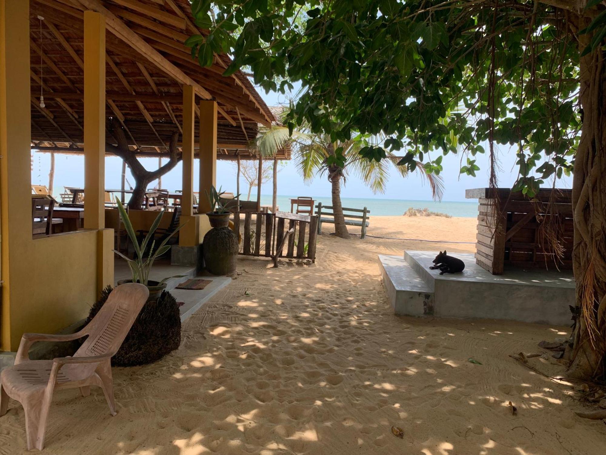 Ocean View Beach Resort - Kalpitiya Bagian luar foto